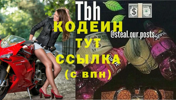 мет Гусиноозёрск