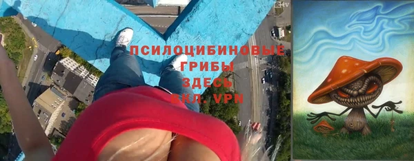 2c-b Гусь-Хрустальный