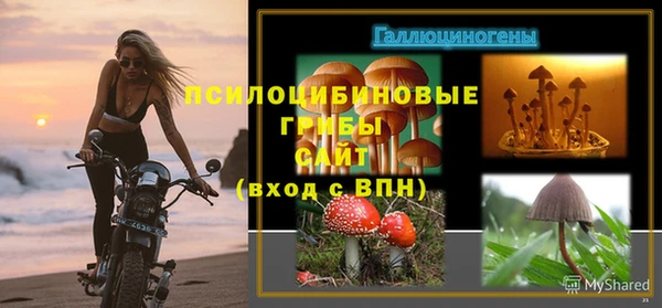 трава Гусев