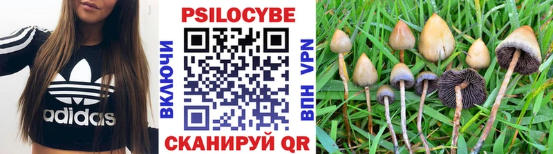 Псилоцибиновые грибы GOLDEN TEACHER  наркота  shop как зайти  Дорогобуж 